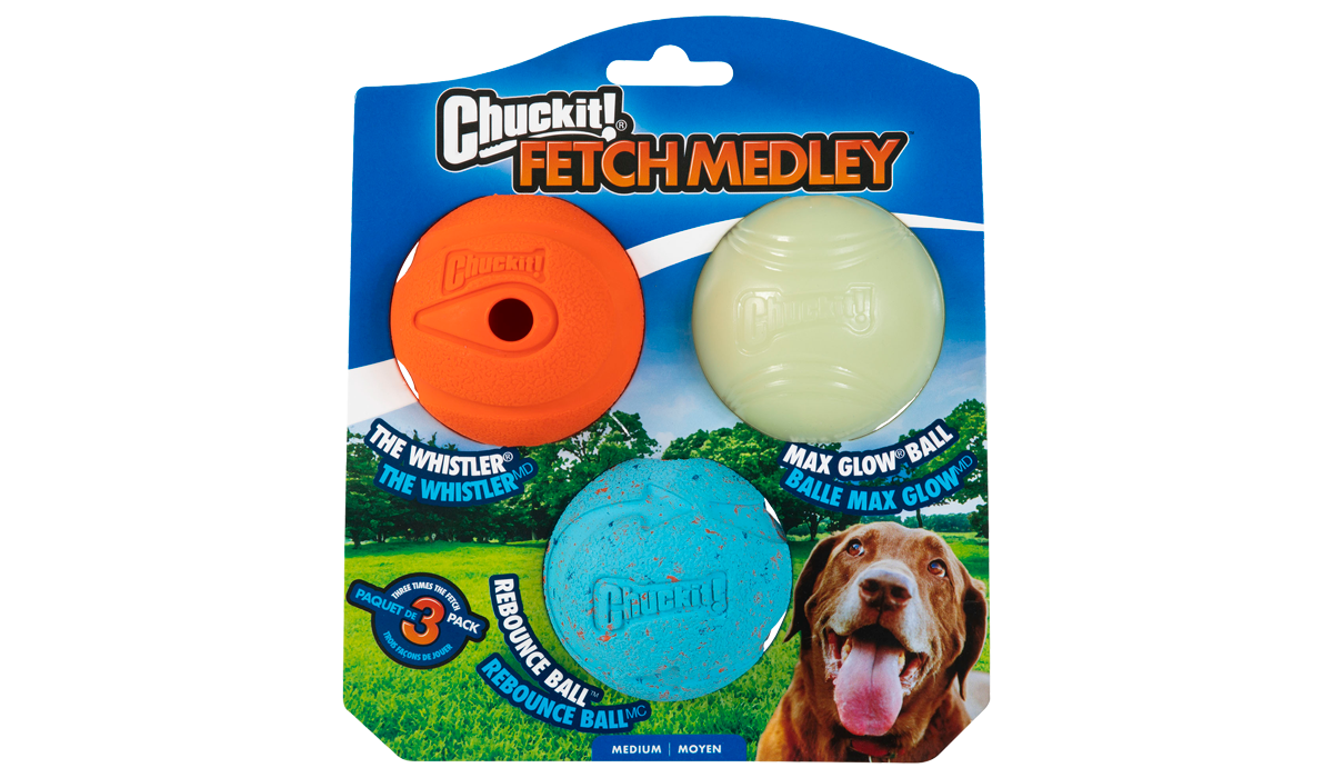Chuckit! Medium Fetch Medley Dog Ball Set