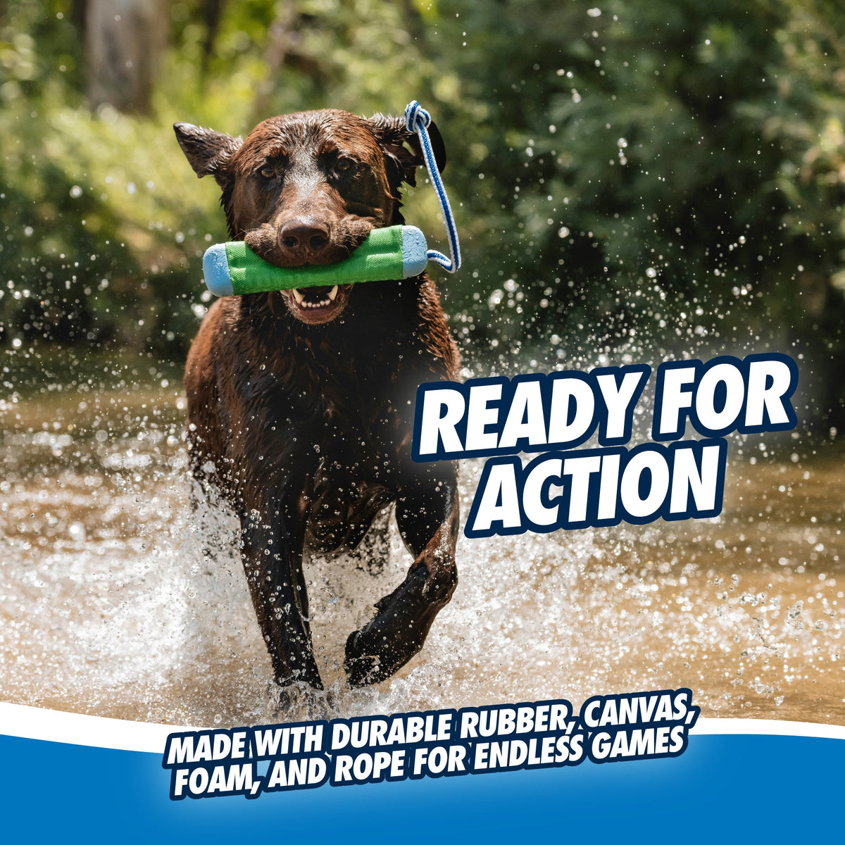 Chuckit! Amphibious Bumper Floating Dog Toy