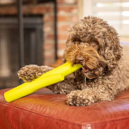 Hyper Pet Hyper Chewz Stick Dog Toy