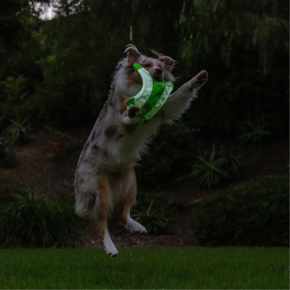 Chuckit! Max Glow Flying Fetch Squirrel
