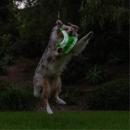 Chuckit! Max Glow Flying Fetch Squirrel