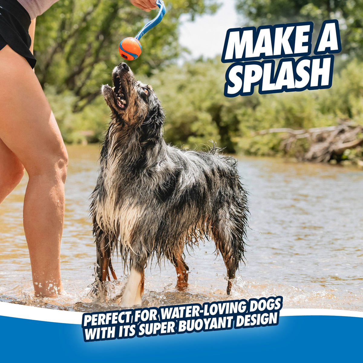 Chuckit! Ultra Tug Dog Toy