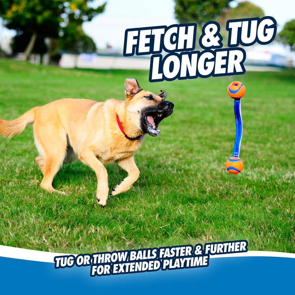 Chuckit! Ultra Duo Tug Dog Toy Med