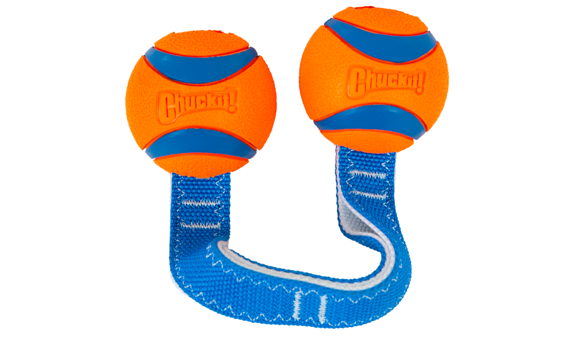 Chuckit! Ultra Duo Tug Dog Toy Med