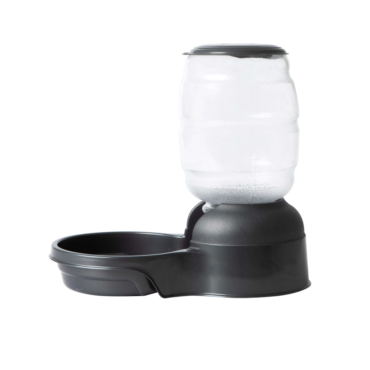Petmate Replendish Pet Feeder With Microban