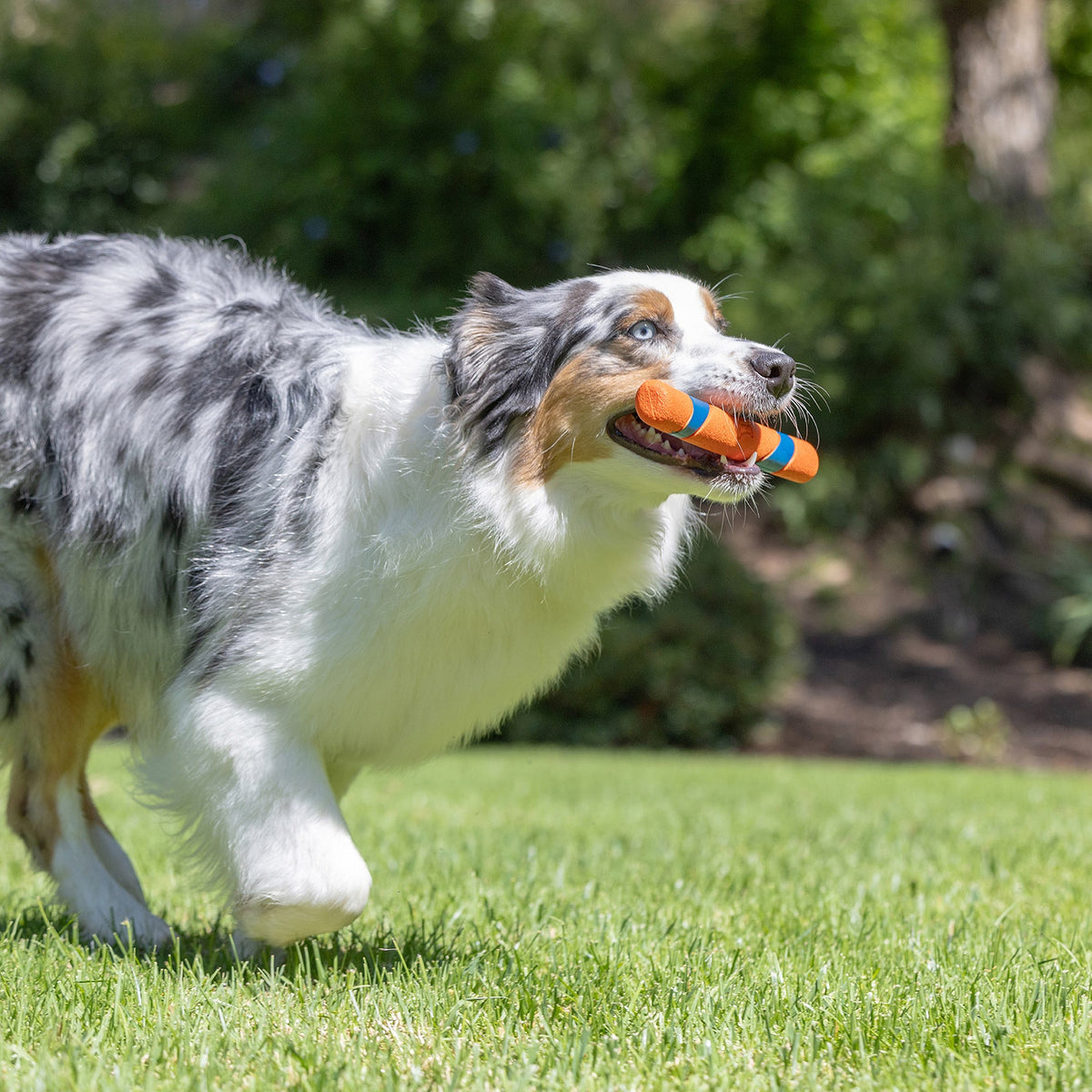 Chuckit! Day & Night Ultra Fetch Stick 2 Pack