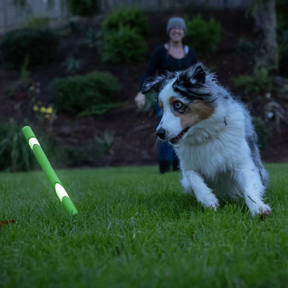 Chuckit! Day & Night Ultra Fetch Stick 2 Pack