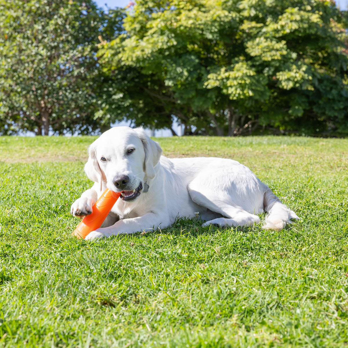 Chuckit! Super Crunch Stick
