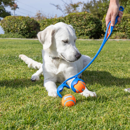 Chuckit! 22M Double Launcher Dog Toy