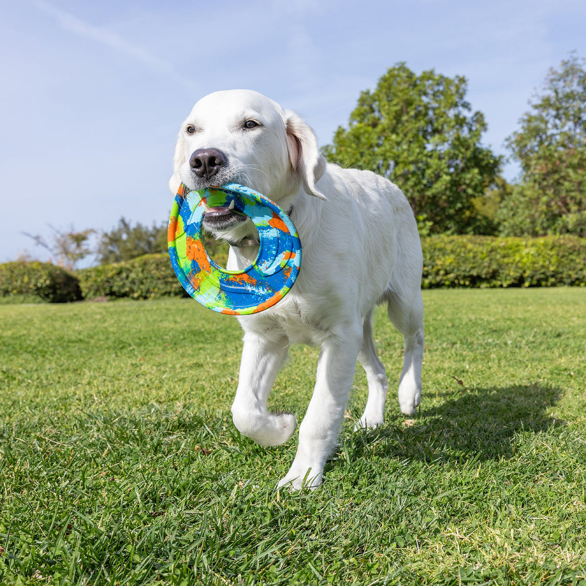 Chuckit! EcoFetch Recycled Rubber Flyer