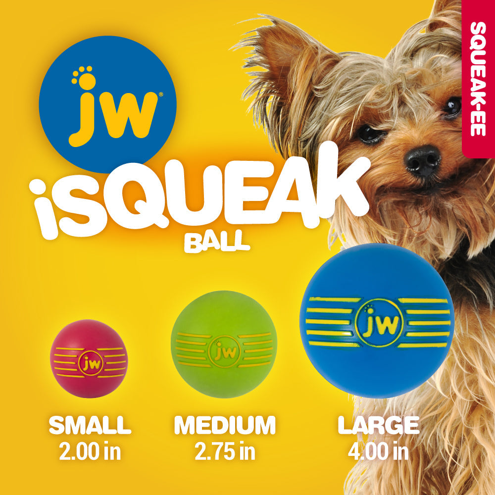 JW iSqueak Ball 1pack | Variable Colors
