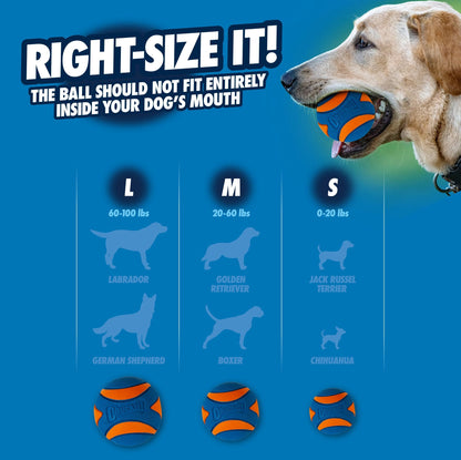 Chuckit! Ultra Ball & Ultra Squeaker Medium Assorted 4 Pack