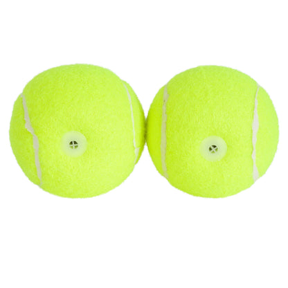 Hyper Pet Squeaks! Tennis Balls With Squeakers