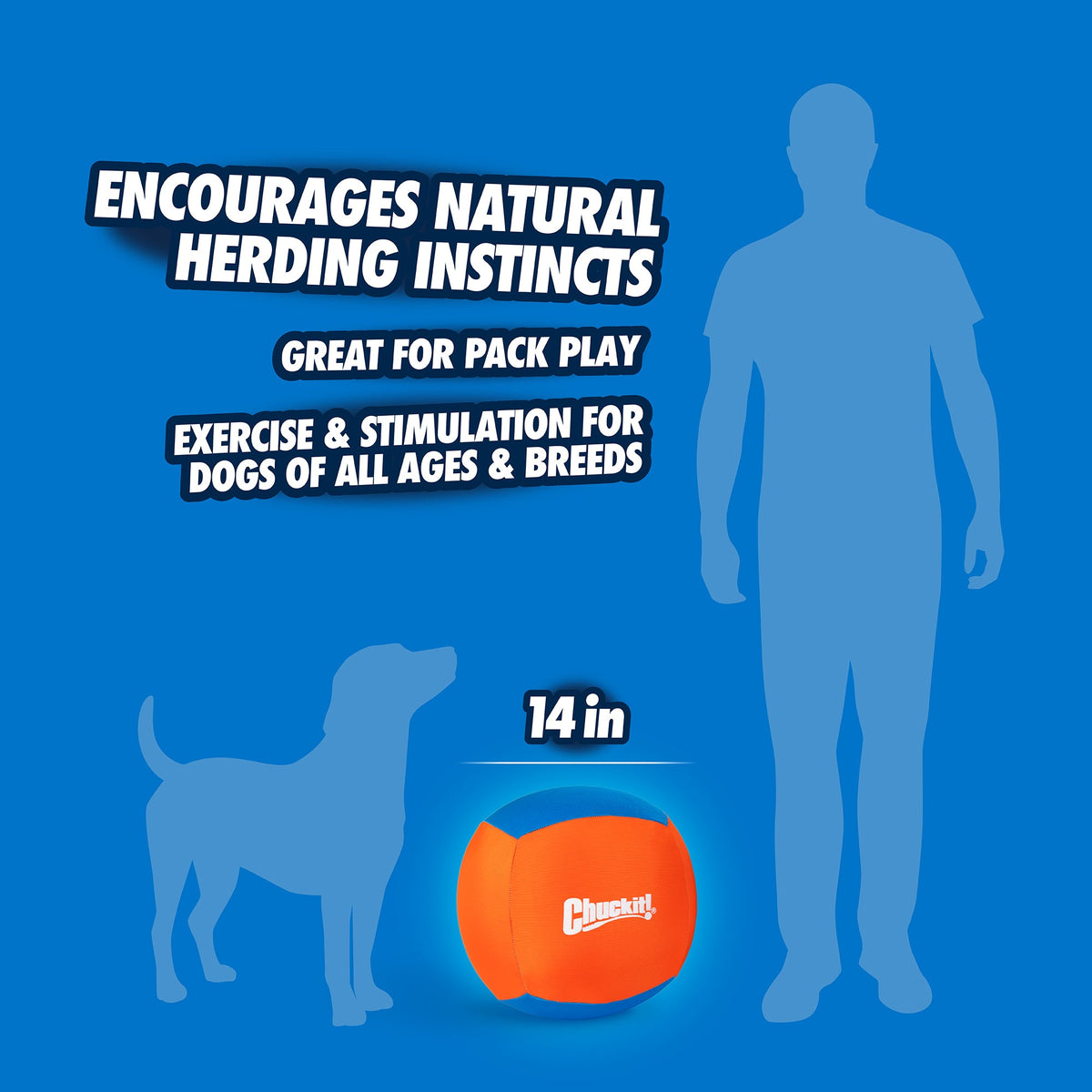 Chuckit! Big Air Fetch & Herding Ball Dog Toy