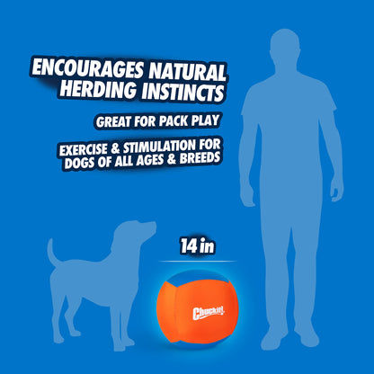 Chuckit! Big Air Fetch & Herding Ball Dog Toy