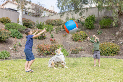 Chuckit! Big Air Fetch & Herding Ball Dog Toy