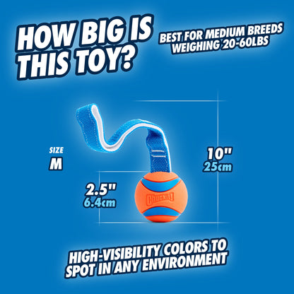 Chuckit! Ultra Tug Dog Toy