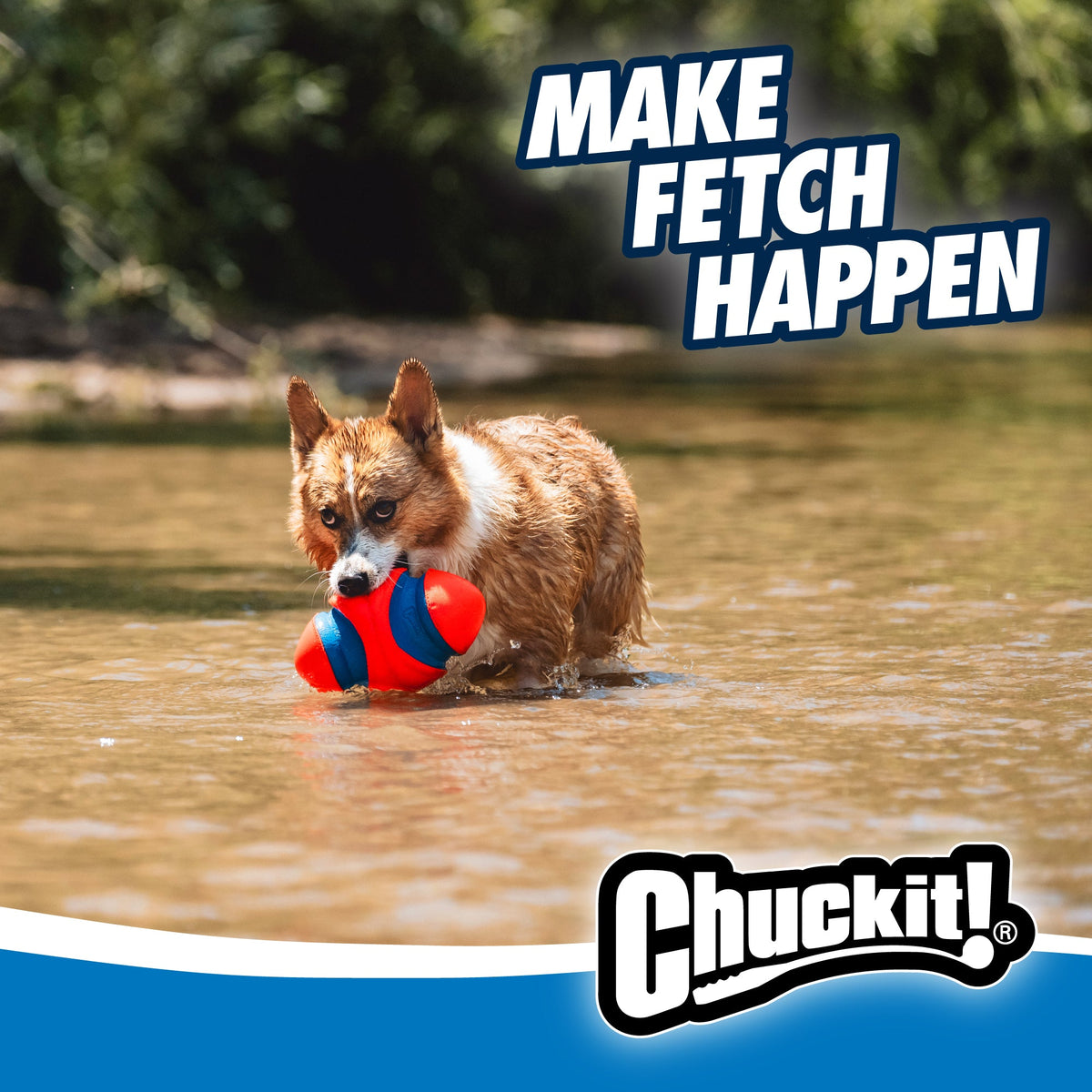 Chuckit! Fumble Fetch