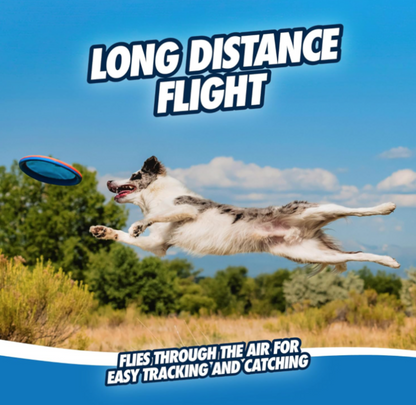 Chuckit! Paraflight Max Glow Flyer Dog Toy