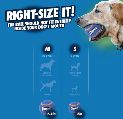 Chuckit! Squeaker Tennis Ball 2 Pack