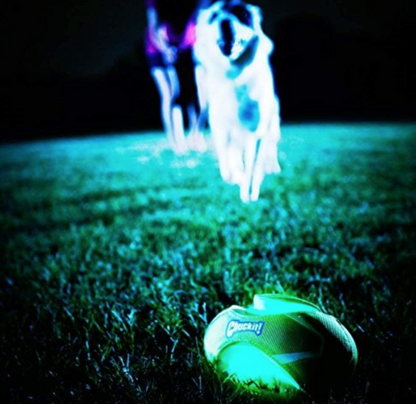 Chuckit! Fumble Fetch Max Glow
