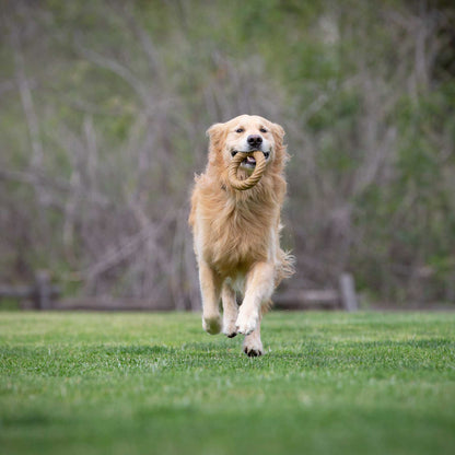 BarkBone Natural Instinct Peanut Butter Infused Nylon Chew Ring